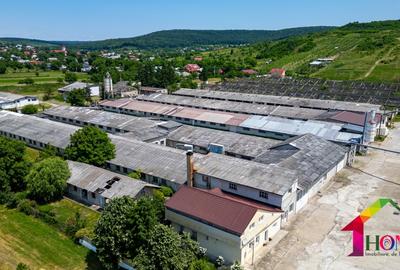 Teren 100.000 mp + Spatii Industriale Bacau - 5