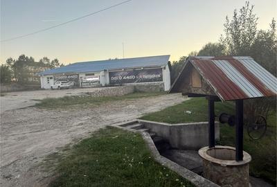 Spațiu comercial, de 600 mp, în Cărpiniș - 1