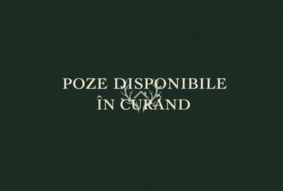 Apartament cu 3 camere semidecomandat în Mănăștur - 2