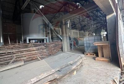 Spațiu industrial, de 7,756 mp, în Cerăt - 61