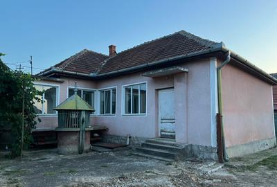 Proprietate cu doua case Pausa, Bihor