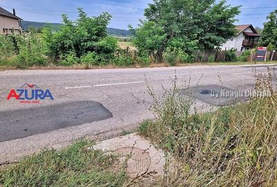 AZURA Imobiliare - Teren Budeasa Galasesti Calotesti - 3