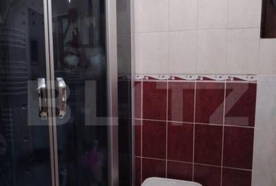 Vanzare Apartament 3 camere, 105 mp utili, zona Unirii - 7