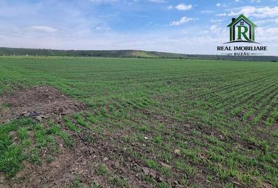 Spațiu comercial, în Central - 2