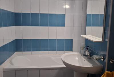 ICIL, apartament cu doua camere, centrala gaz, 425 euro - 11