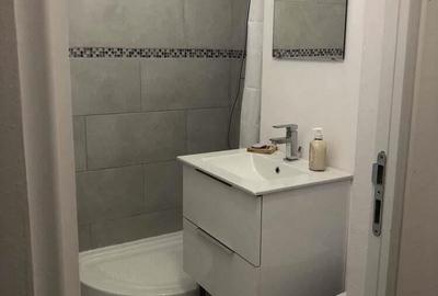 Garsoniera de inchiriat in zona Pieptanari - 1