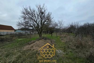 Teren de 1451 mp, în Podari - 6