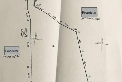 Teren Construcții intravilan de 3169 mp, în Talea - 3