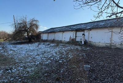 Spatiu comercial/Industrial multifunctional: productie, depozitare, logistica, R - 2