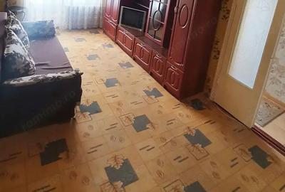 Garsoniera in aproprierea Muzeul Satului Banatean de vanzare - 3