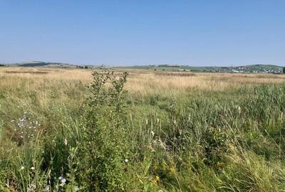 Teren de 19100 mp, în Central - 2