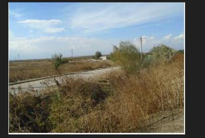 Teren intravilan 3 loturi - total suprafata 7.960 m.p. Constanta pret 600EUR/ mp - 9