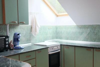 Casa de locuit cu spa?iu comercial venit pasiv lunar, - 27