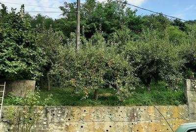Gospodarie | 315mp | 12 500mp | Ramnicu Valcea - Copacelu | Proprietar - 6