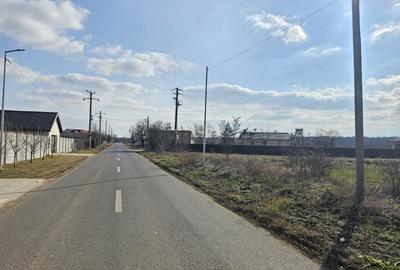 Teren de vanzare in Silistea Snagovului - 13.800 mp. - 2