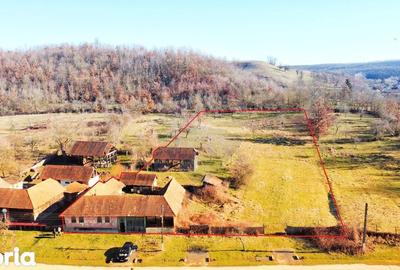 Casă cu 4 camere cu Teren 10486 Mp în Ohaba Lungă - 1