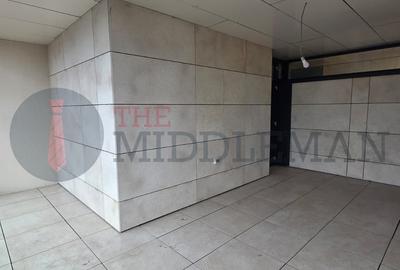 Apartament de lux cu terasă și vedere directă la Parcul Herăstrău - 42