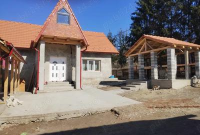 Casă cu Teren 4642 Mp în Bârsău - 1