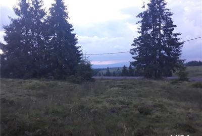Teren în Beliș - 6