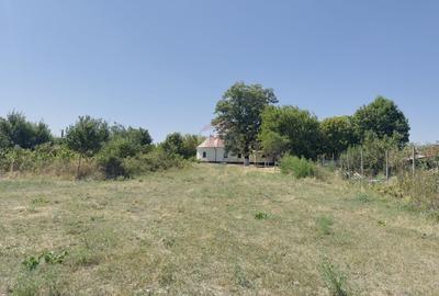 Teren 2,841mp Apateu / Strada Principala langa Biserica Ortodoxa - 14