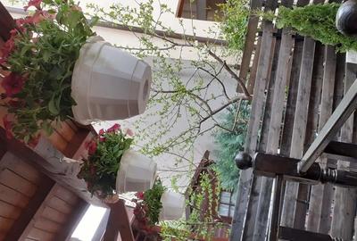 Apartament cu 2 camere decomandat în Berceni - 4