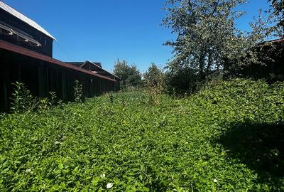 Vand casa cu etaj si teren in Vanatori Neamt,langa Targu Neamt - 9