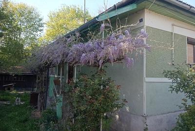 Casă cu 2 camere cu Teren 480 Mp în Central - 1