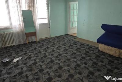 Casă cu 2 camere cu Teren 804 Mp în Gojdu - 3