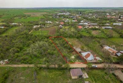 LETCA NOUA, TEREN CONSTRUCTII 1184 MP, FRONT 21 M ! - 1