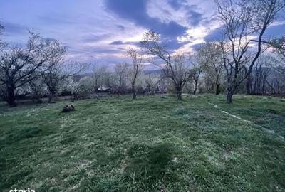 Spațiu comercial, în Central - 1