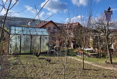 Casă cu 3 camere în Zau de Câmpie - 2