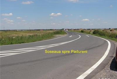 Teren de 10750 mp, în Pădurani - 1