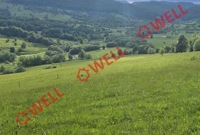 Teren de 9289 mp, în Vama Buzăului - 4