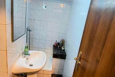 Apartament Stefan cel Mare/parcul Circului - 10
