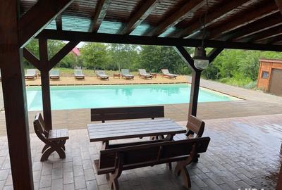 Spațiu comercial, de 450 mp, în Sasca Montană - 2