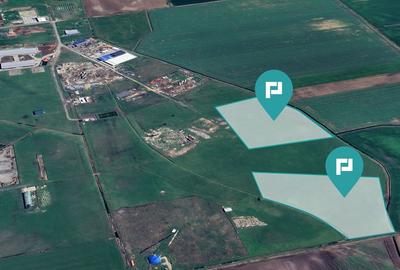 Teren intravilan de 26,606mp Sacalaz - 3