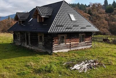 Se vinde casa si teren 3800 mp in Poiana Stampei . - 2