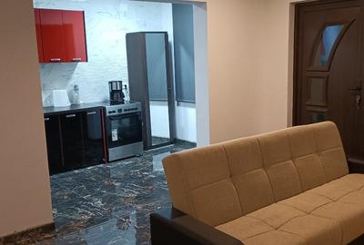 Casă individuală cu 2 camere cu Teren 500 Mp în Mlenăuți - 6