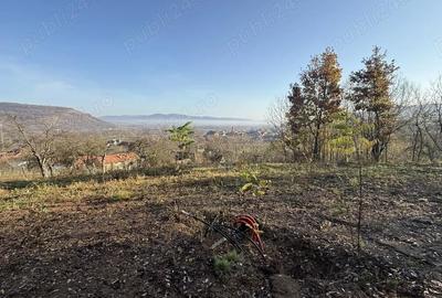 Teren de 2294 mp, în Joia Mare - 3