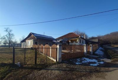 Casă cu 4 camere cu Teren 4977 Mp în Nord-Vest - 4