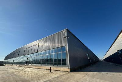 Afumati  Ilfov spatii depozitare propductie noi 2025 - 3