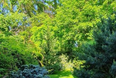 Vila Individuala P+1+M | 5 camere | 2 bai | Metrou Paris | Liceul Francez - 10