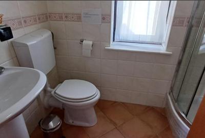 Casa indviduala, cu curte proprie, Bunloc ,Sacele - 28