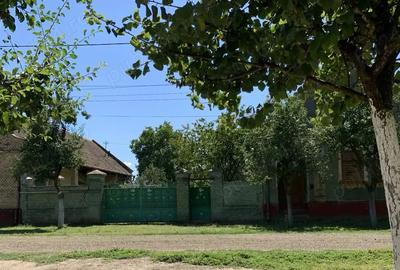 Casa la ?ara in Uliuc, 20km de Timi?oara, Teren 2275mp - 1