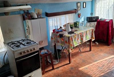 Vanzare casa + terenuri - 5