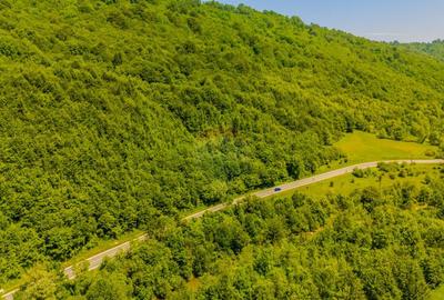 COMISION 0% Teren 3750mp / Sacele / DN1A / Poten?ial tu... - 2