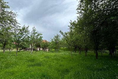 Spațiu comercial, în Stănești - 1