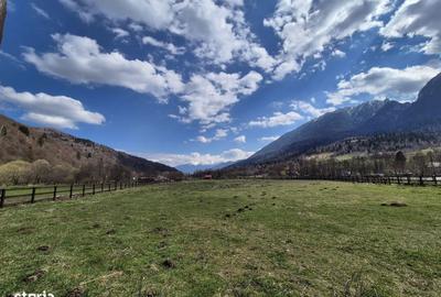 Spațiu comercial, în Plaiul Foii - 8