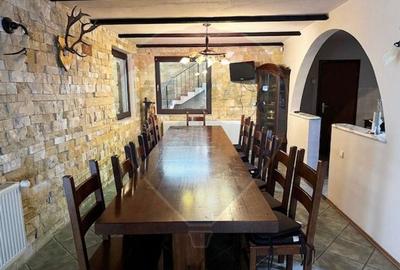 Vila si casa de vacanta Sibiel - 5