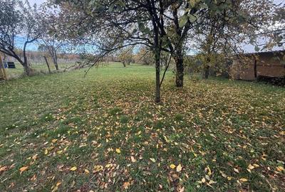 Teren intravilan împrejmuit 2331 mp la strada, toate utilitățile! - 7